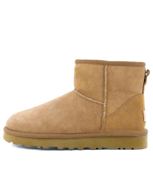 Ugg Brown Classic Mini Ii Stay Warm Fleece Lined