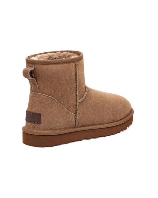 Ugg Brown (Wmns) Classic Mini Ii 'Hickory'