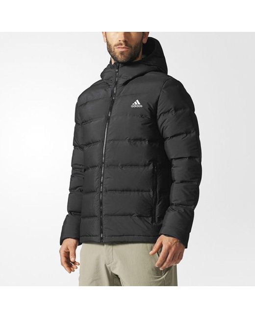 Adidas Blue Helionic Ho Jkt Stay Warm Sports Hooded Down Jacket for men