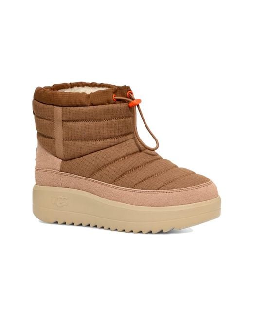 Ugg Brown Maxxer Mini 'Chestnut' for men