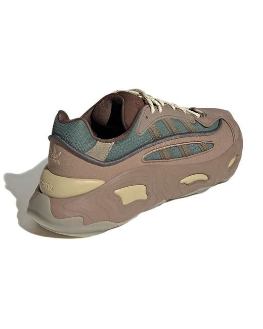 Adidas Brown Originals Oznova for men