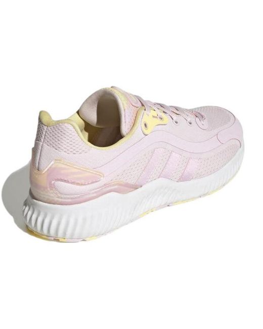 Adidas Pink (Wmns) Jelly Bounce
