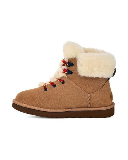 Ugg Brown (Wmns) Classic Mini Alpine Lace