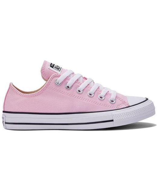 Converse Purple All Star Low Tops Retro Shoe for men