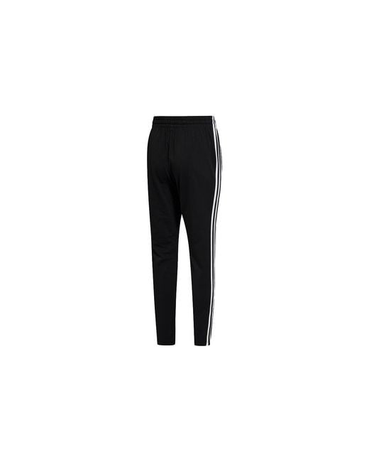 Adidas Black M 3S Sj To Pt Classic Stripe Knit Sports Pants for men