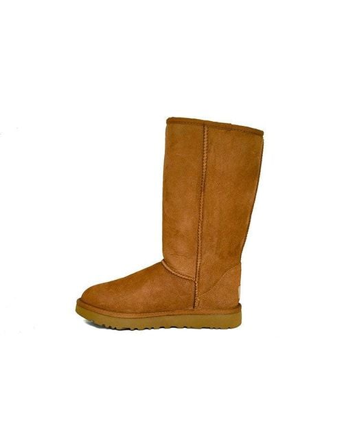 Ugg Brown (Wmns) Classic Tall Ii High Top Fleece Lined
