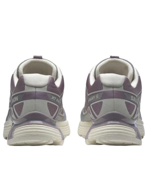 Salomon Gray Xt Pathway 2 for men