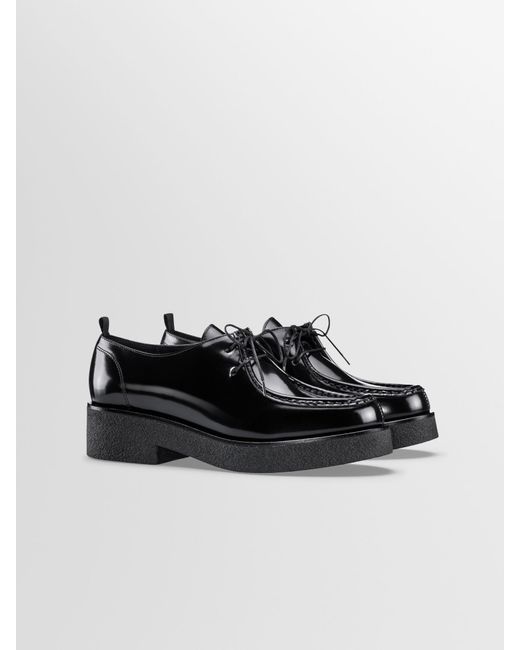 Koio Siena In Glossed Black