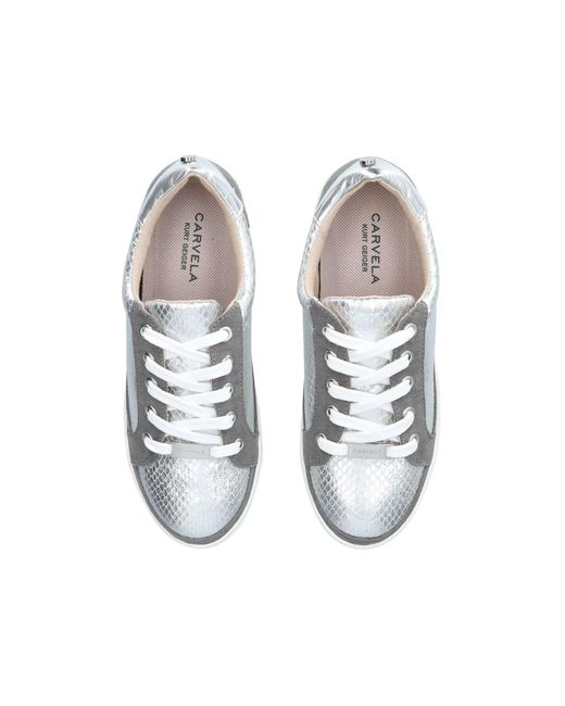 carvela jupiter trainers