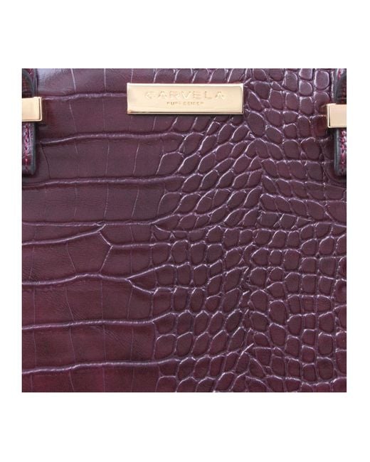 Carvela holly croc zip bag wine sales