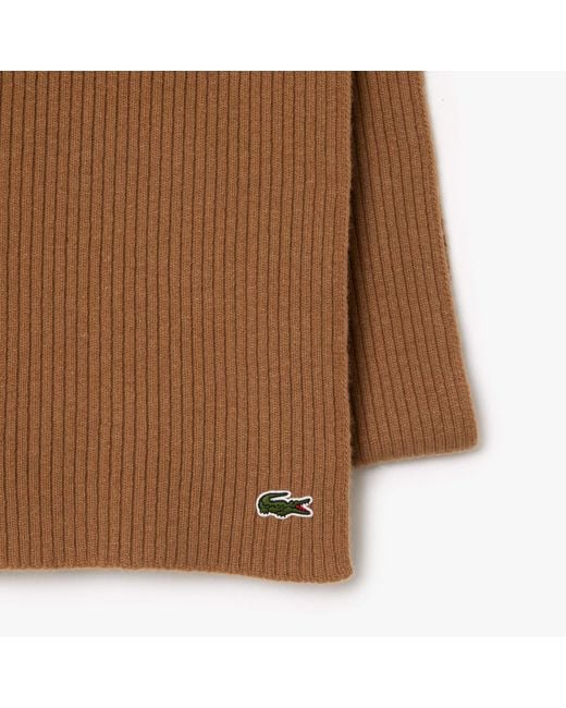 Lacoste Brown Ribbed Wool Scarf