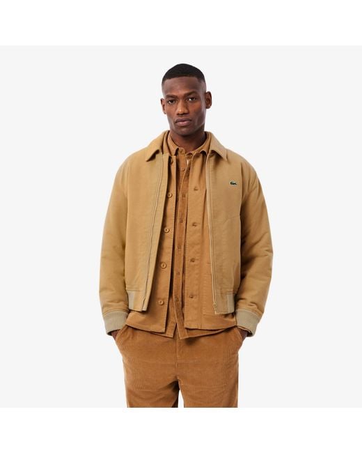 Lacoste Brown Padded Moleskin Jacket for men