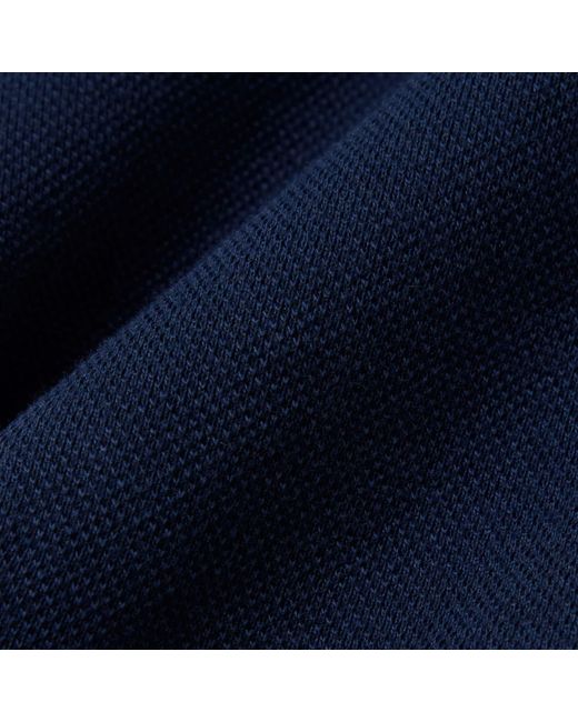 Lacoste Blue Made