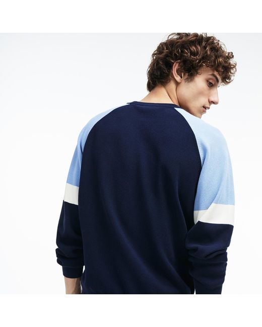 lacoste navy crew neck sweater