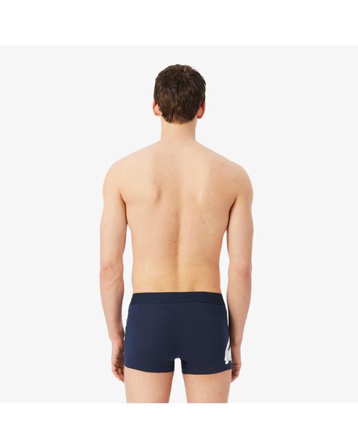 Lacoste Blue 3-Pack Stretch Cotton Trunks for men