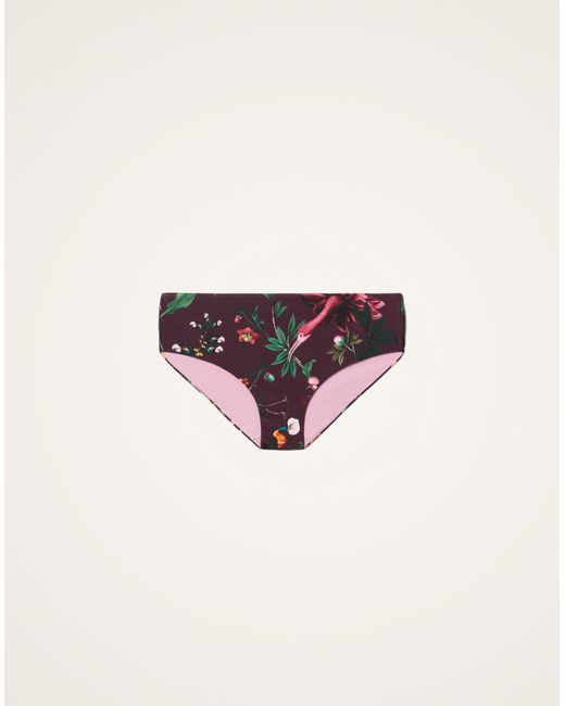 LaDoubleJ Multicolor Boy Brief