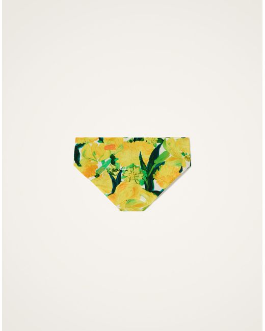 LaDoubleJ Multicolor Boy Brief
