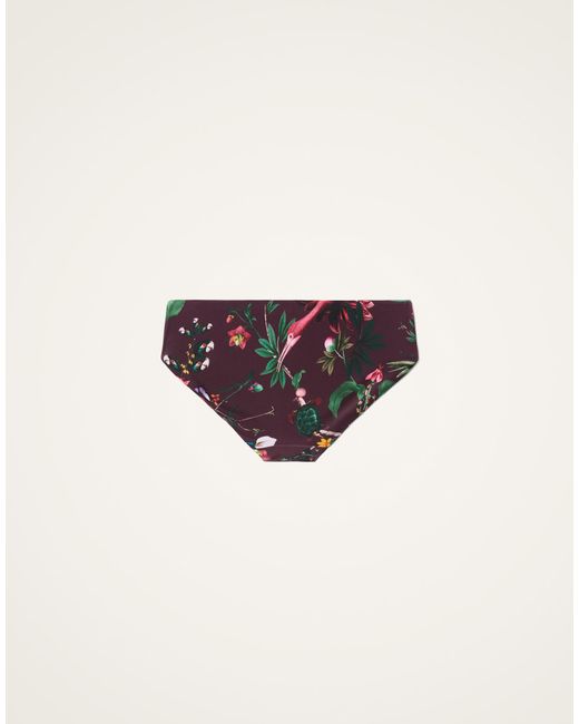 LaDoubleJ Multicolor Boy Brief