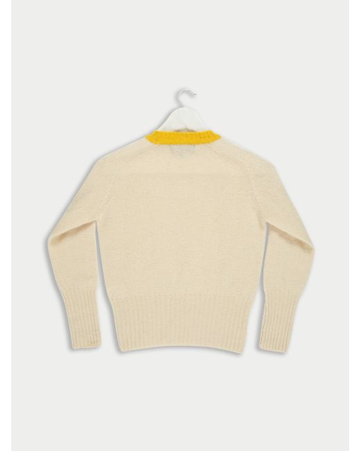 La Fetiche Multicolor Viva Traditional Brushed Crew Neck Seam Free Sweater With Bright Contrast Neck Trim