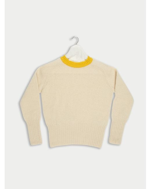 La Fetiche Multicolor Viva Traditional Brushed Crew Neck Seam Free Sweater With Bright Contrast Neck Trim