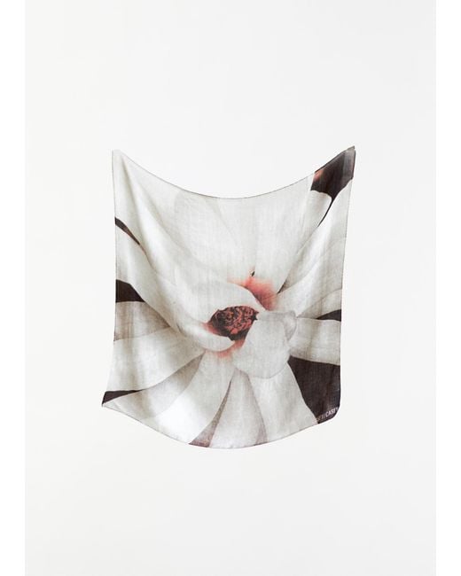 Casey Casey White Exclusive Silk Cashmere Scarf