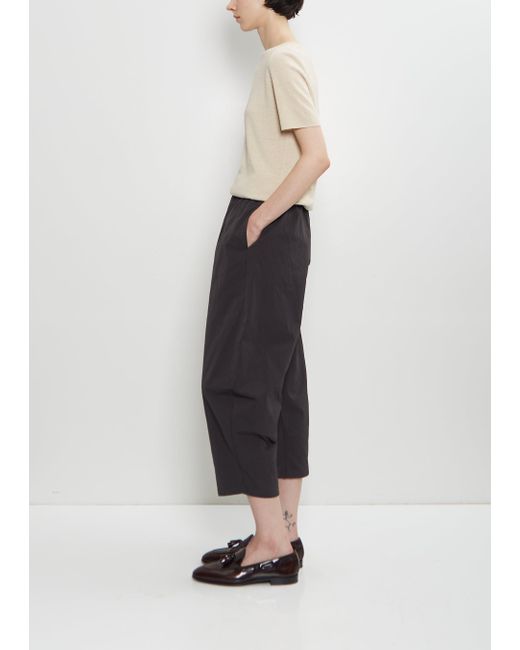 Apuntob Multicolor Cotton Gabardine Curved Pull On Pant