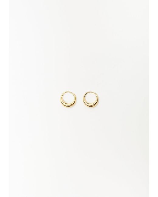 Sophie Buhai Multicolor Gold Small Sigrid Hoops