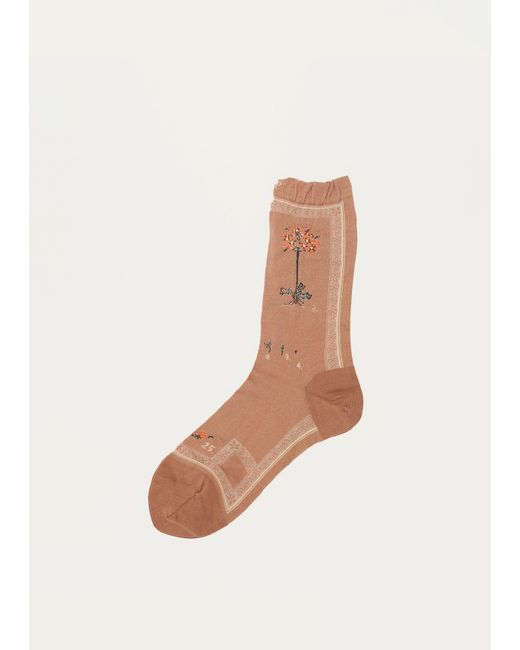 Antipast White Botanical Xvi Socks