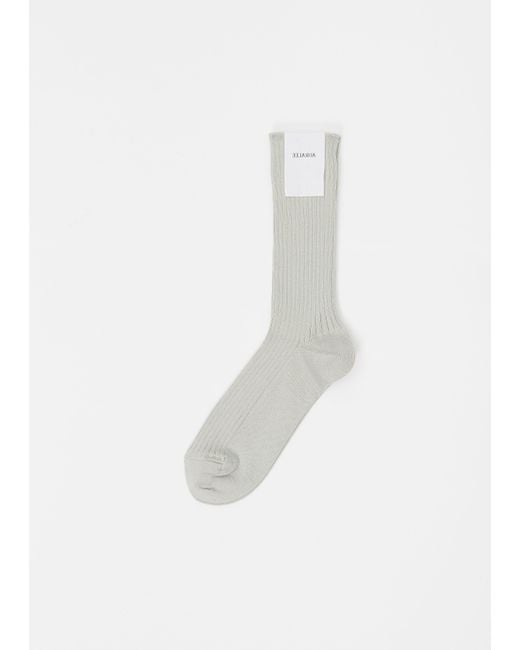 Auralee White Giza High Gauge Socks