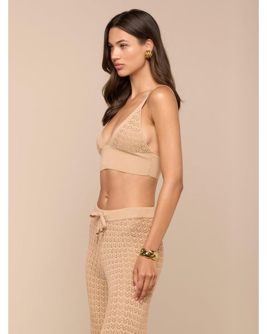 L'Agence Natural Reverie Pointelle Knit Bralette