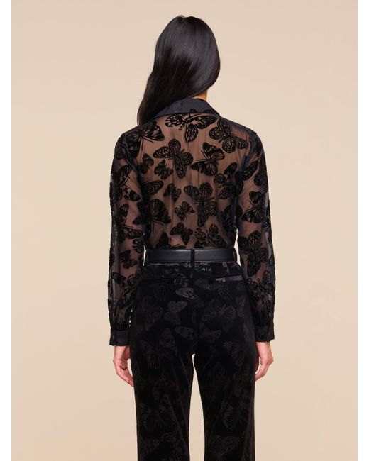L'Agence Blue Laurent Velvet Blouse Top