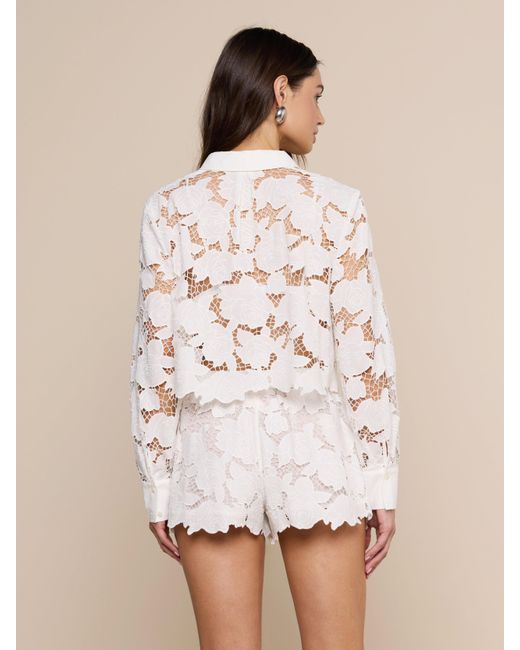L'Agence Natural Seychelle Cropped Eyelet Blouse Top