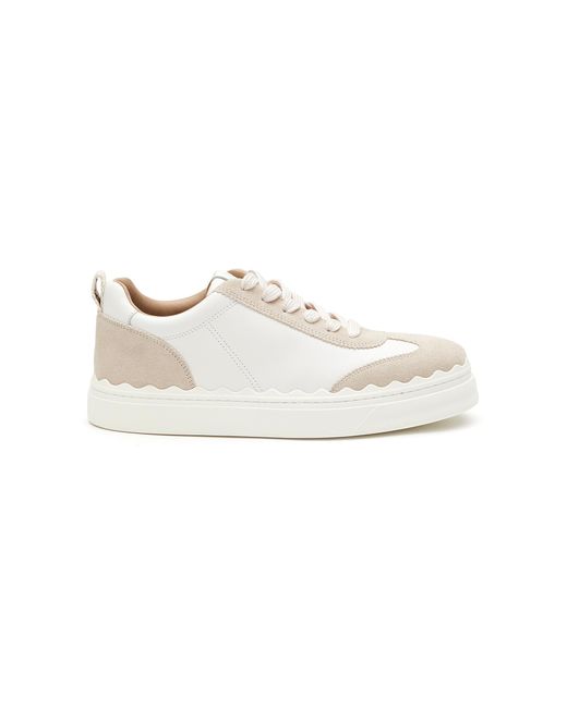 Chloé 'lauren' Low Top Lace Up Suede Leather Sneakers in White | Lyst