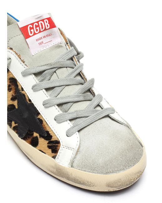 superstar leopard print sneakers