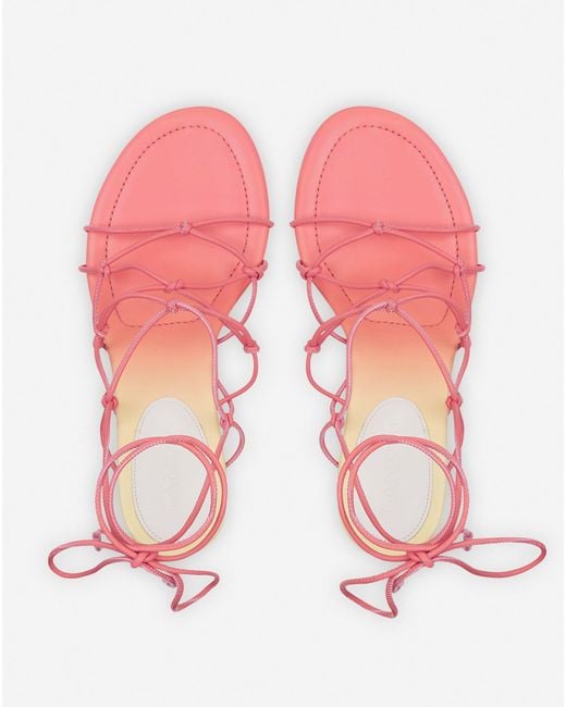 Lanvin Pink Celesta Sandals In Leather