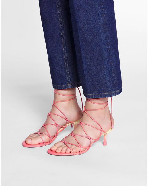 Lanvin Pink Celesta Sandals In Leather