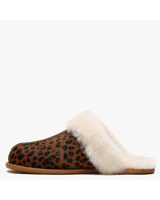 ugg scuffette ii leopard