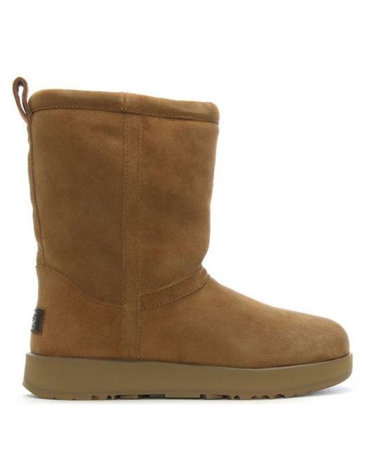 ugg classic short waterproof boot in chestnut