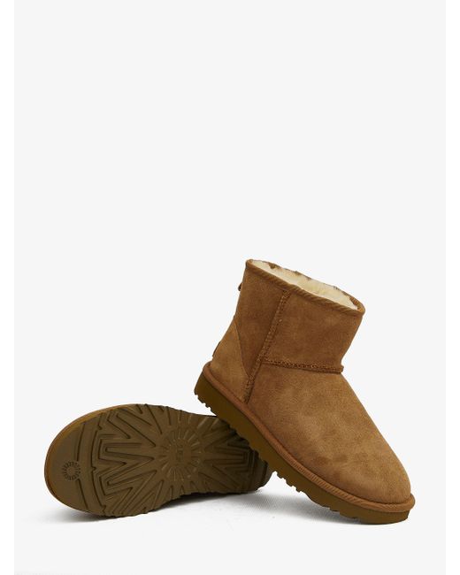 Ugg Brown Classic Mini Ii Chestnut-coloured Ankle Boots