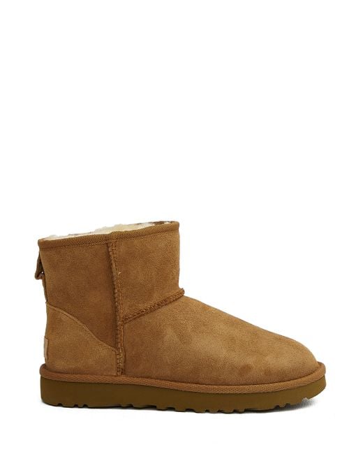 Ugg Brown Classic Mini Ii Chestnut-coloured Ankle Boots