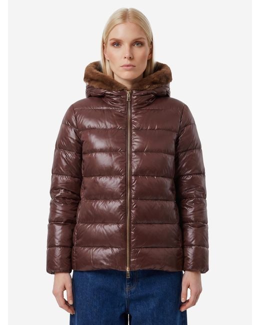 Herno Brown Ultralight Down Jacket With Faux Fur