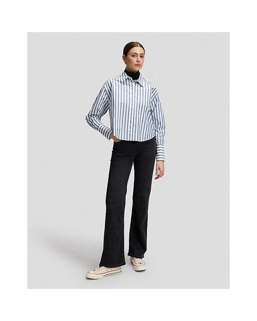 Lee Jeans Blue Regular Cuffed Shirt