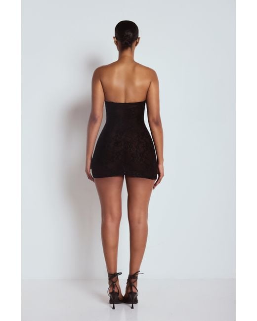 LemonLunar Black The Amilia Lace Dress
