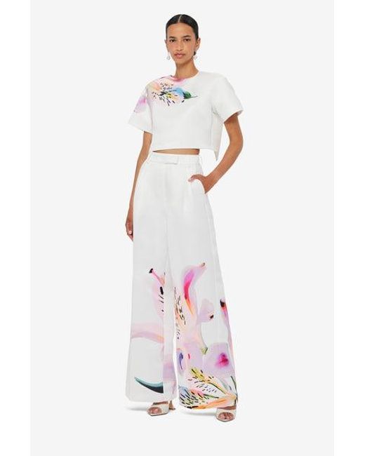 LEO LIN Pink Indie Sleeve Top