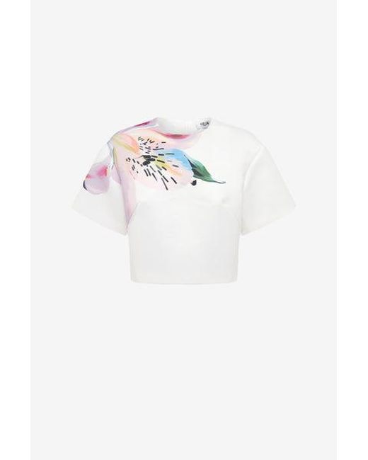 LEO LIN Pink Indie Sleeve Top