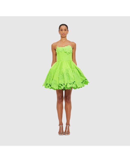 LEO LIN Women's Green Skye Appliqu Bustier Mini Dress -  www.rajagirimanappuram.com