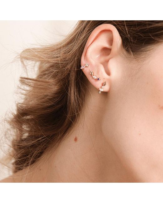 Set de boucles d'oreilles Polaris Les Georgettes en coloris Brown