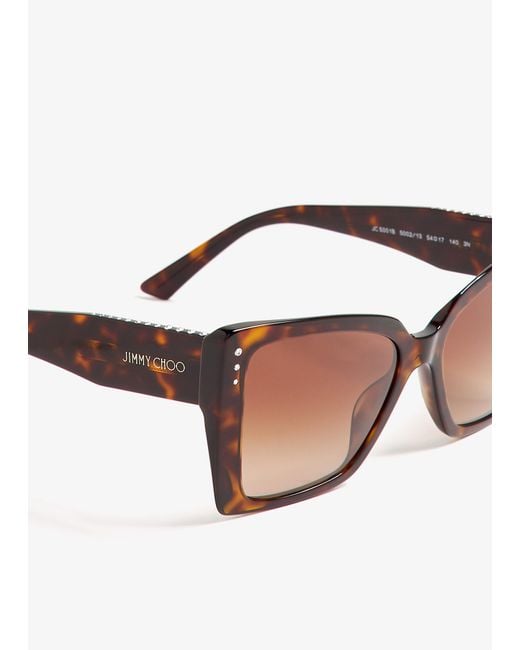 Jimmy Choo Natural Lorea Sunglasses