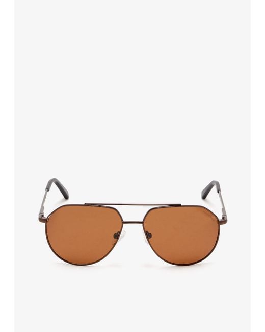 Roderer Brown Edgar Aviator Sunglasses for men