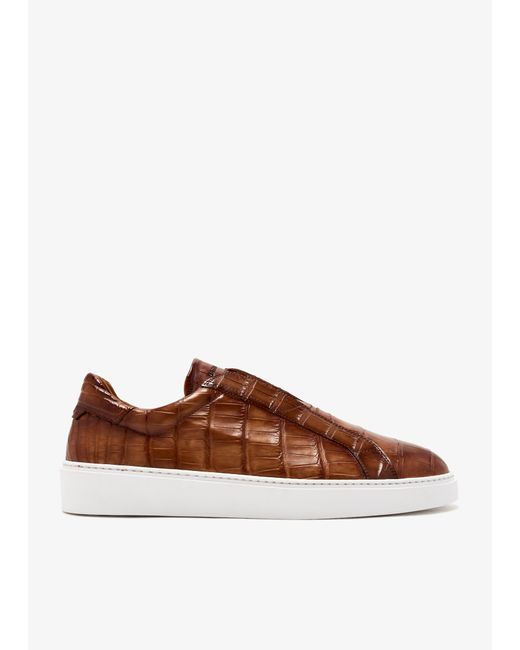 Magnanni Shoes Brown Leno Sneakers for men